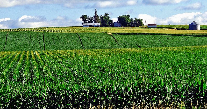 In una regione agricola come la Corn Belt degli Stati Uniti le piogge hanno un ruolo fondamentale per la produzione e l’irrigazione. Foto: Don Graham Attribution-ShareAlike 2.0 Generic CC BY-SA 2.0 Deed