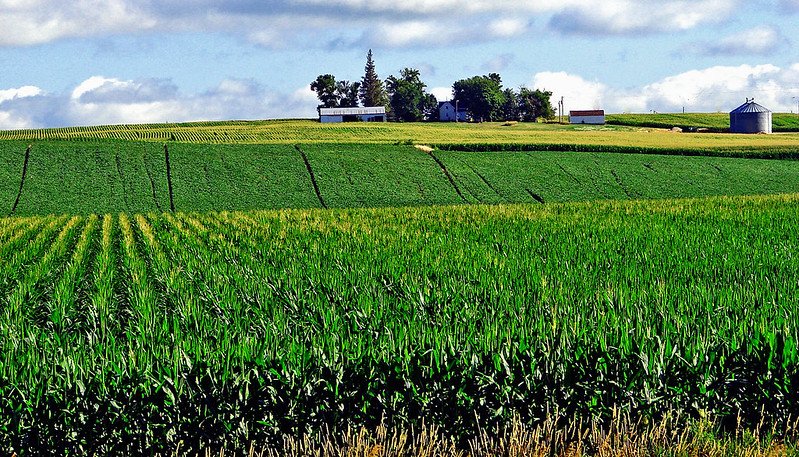 In una regione agricola come la Corn Belt degli Stati Uniti le piogge hanno un ruolo fondamentale per la produzione e l’irrigazione. Foto: Don Graham Attribution-ShareAlike 2.0 Generic CC BY-SA 2.0 Deed