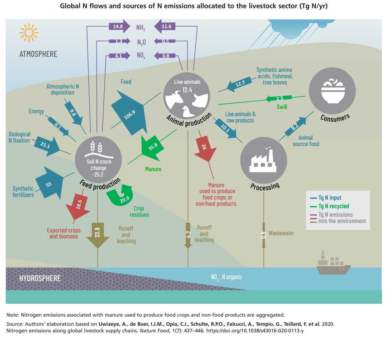 Le principali fonti di emissione dell’azoto nel mondo (milioni di tonnellate). Fonte: FAO. 2025. Sustainable nitrogen management in agrifood systems. Rome. https://doi.org/10.4060/cd3388en Attribution 4.0 International CC BY 4.0 Legal Code