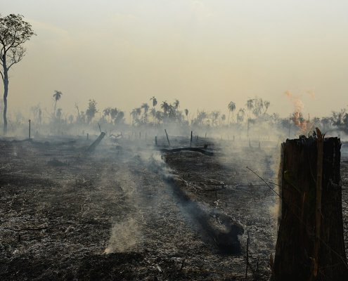 In the past five years, the Brazilian Amazon has experienced about 1 million fires. Photo: Ibama from Brasil Attribution 2.0 Generic CC BY 2.0 Deed