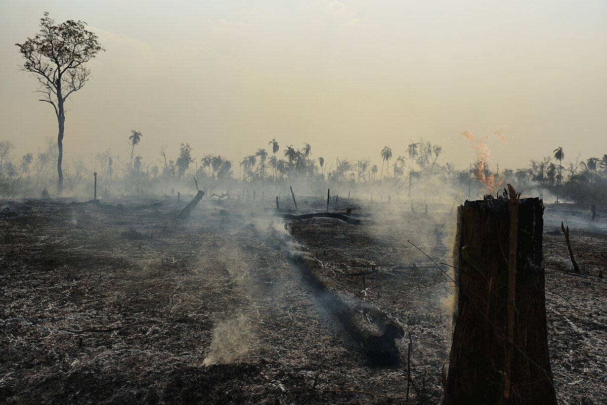 Negli ultimi 5 anni l'Amazzonia brasiliana ha registrato circa 1 milione di incendi. Foto: Ibama from Brasil Attribution 2.0 Generic CC BY 2.0 Deed