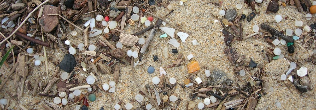 Industrial plastic granules on a beach on the Aquitaine coast. In France, 76 percent of soils surveyed are contaminated with microplastics. Photo: Maldeseine Attribution-ShareAlike 3.0 Unported CC BY-SA 3.0 Deed