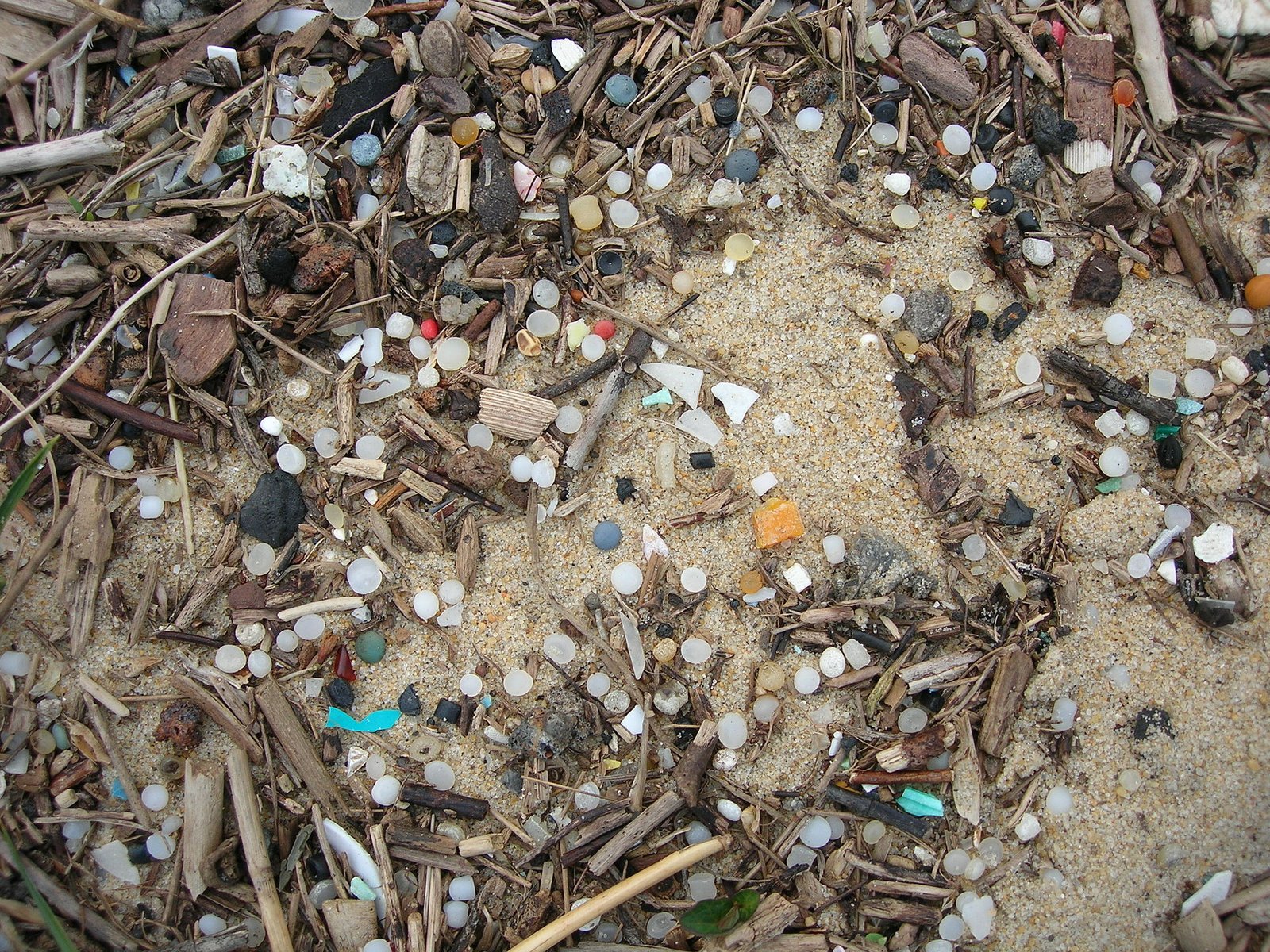 Granuli di plastica industriale su una spiaggia della costa dell'Aquitania. In Francia il 76% dei suoli esaminati è contaminato dalle microplastiche. Foto: Maldeseine Attribution-ShareAlike 3.0 Unported CC BY-SA 3.0 Deed