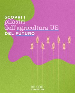 re soil agricoltura UE