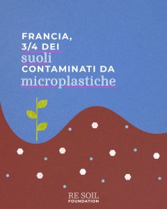re soil microplastiche suolo