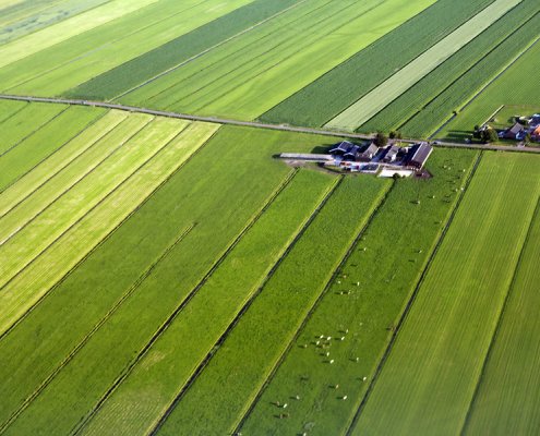 Il settore agro-alimentare gioca anche un ruolo fondamentale per il raggiungimento della neutralità climatica nella UE entro la metà del secolo. Foto: GRID-Arendal Attribution-NonCommercial-ShareAlike 2.0 Generic CC BY-NC-SA 2.0 Deed
