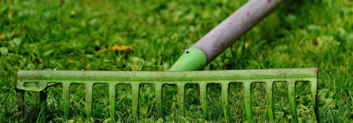 In the U.S., turfgrass, including domestic lawns, covers more than 160 thousand square kilometers and host an important biodiversity. Photo: rawpixel free public domain CC0 image