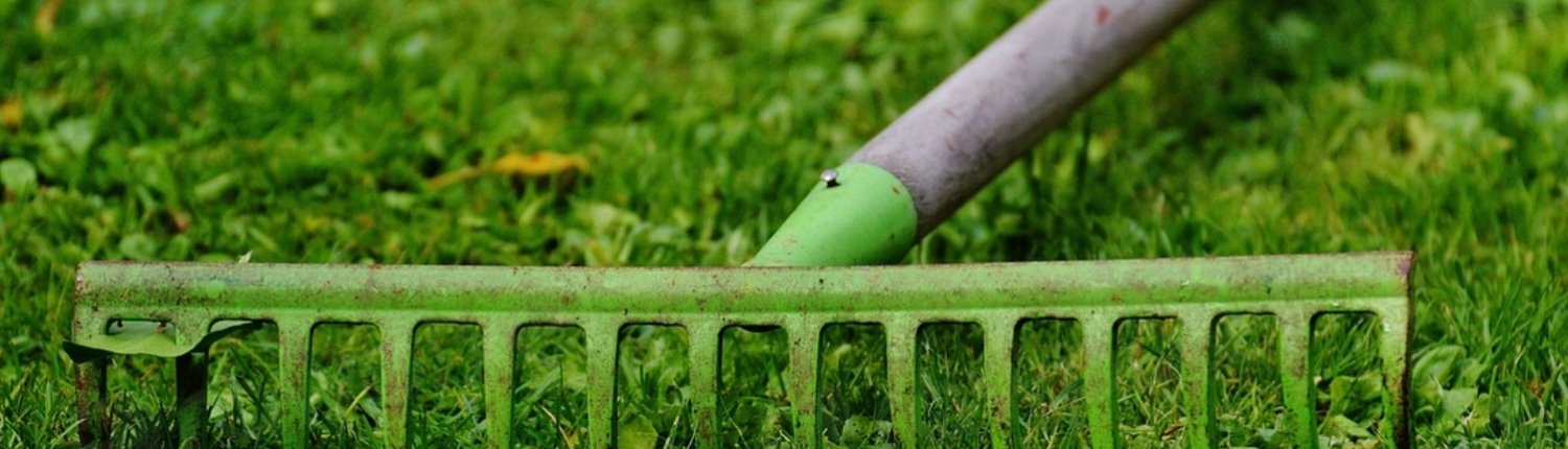 In the U.S., turfgrass, including domestic lawns, covers more than 160 thousand square kilometers and host an important biodiversity. Photo: rawpixel free public domain CC0 image