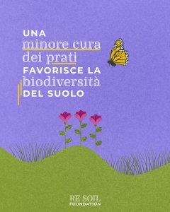 re soil gestione prati biodiversita