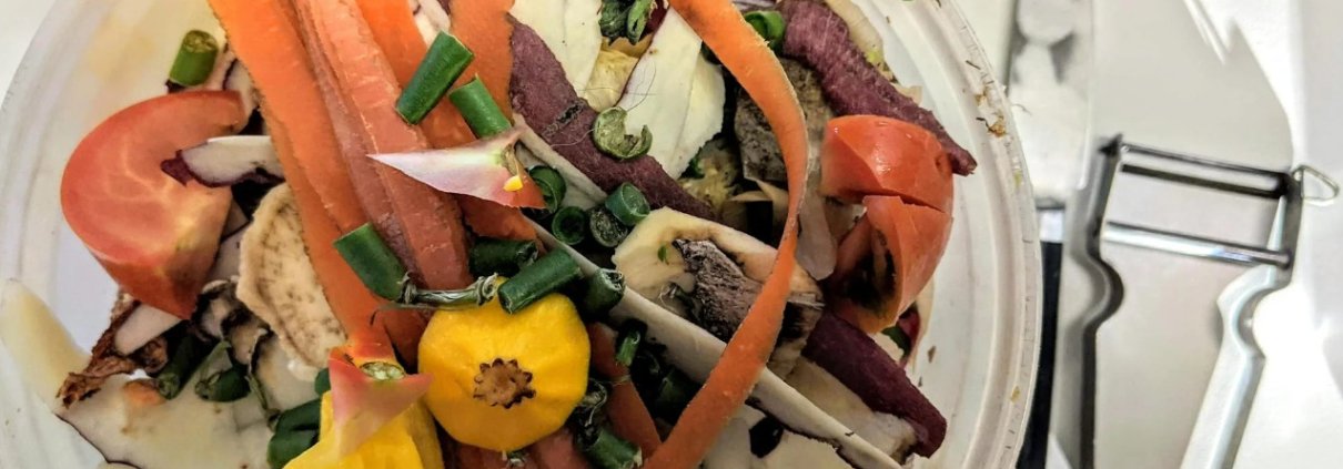 The recovery of organic waste enables the creation of bioproducts of circular origin that help reduce waste while opening up new economic opportunities for many industries. Photo: Denise Nys, Pexels free to use