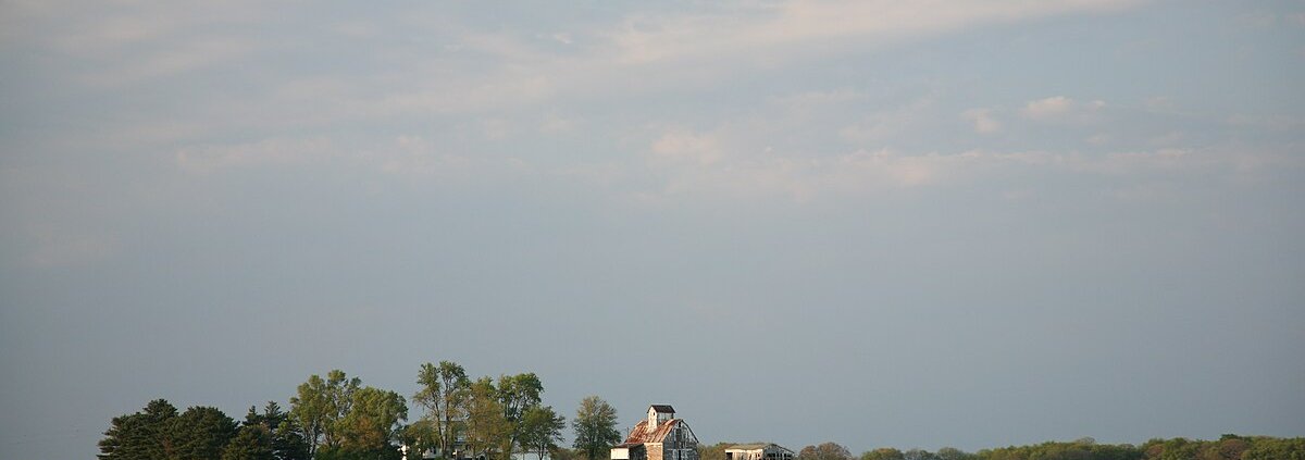 In the fields treated with three-year cropping cycle nitrogen leakage was reduced by 50 percent. Photo: Daniel Schwen Attribution-ShareAlike 4.0 International CC BY-SA 4.0 Deed