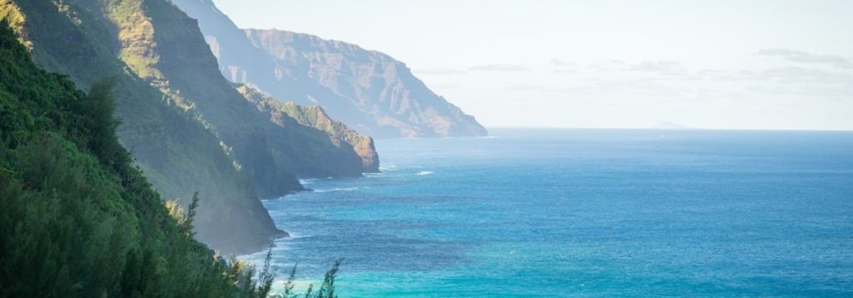 There are more than 1,500 square kilometers of unmanaged agricultural land in Hawaii still suitable for agroforestry under current climate conditions. Photo: Pixabay Public Domain