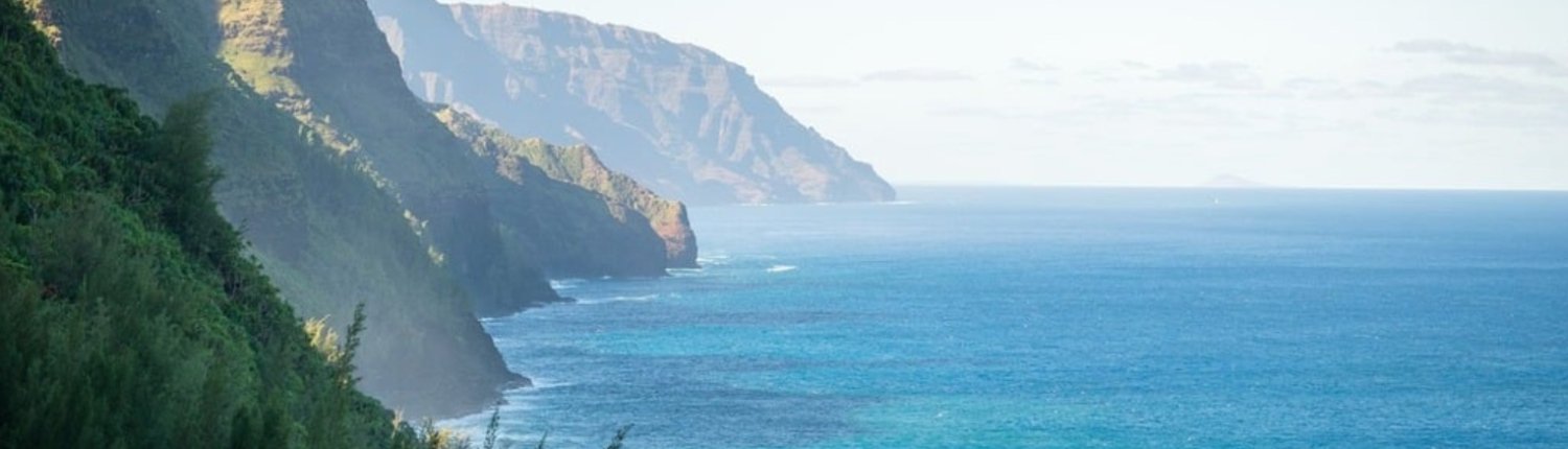 Nelle Hawaii ci sono oltre 1.500 kmq di terre agricole non gestite tuttora adatti all'agroforestazione alle condizioni climatiche attuali. Foto: Pixabay Public Domain