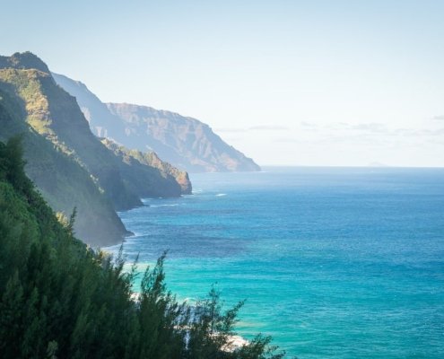 Nelle Hawaii ci sono oltre 1.500 kmq di terre agricole non gestite tuttora adatti all'agroforestazione alle condizioni climatiche attuali. Foto: Pixabay Public Domain