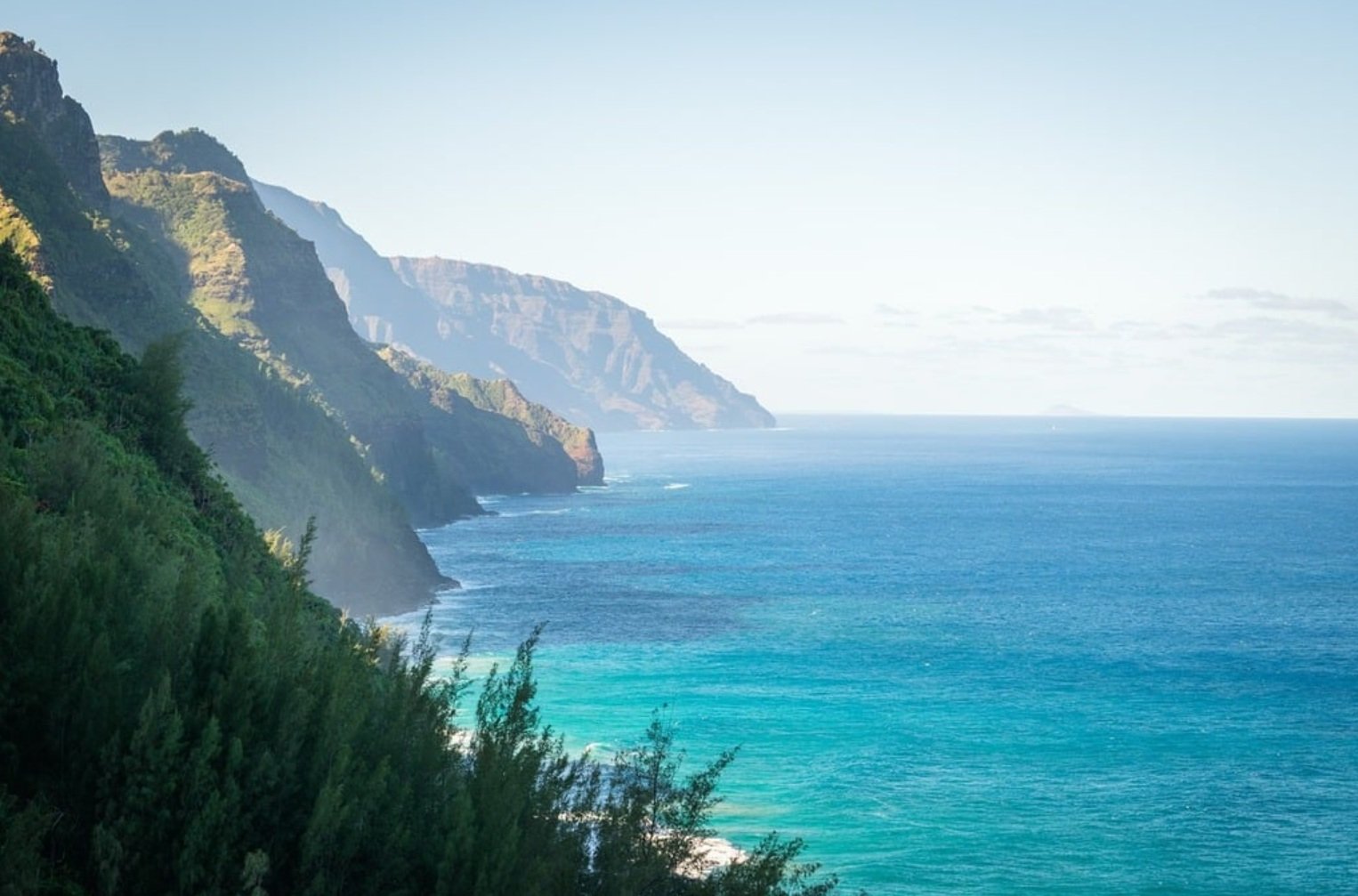 Nelle Hawaii ci sono oltre 1.500 kmq di terre agricole non gestite tuttora adatti all'agroforestazione alle condizioni climatiche attuali. Foto: Pixabay Public Domain