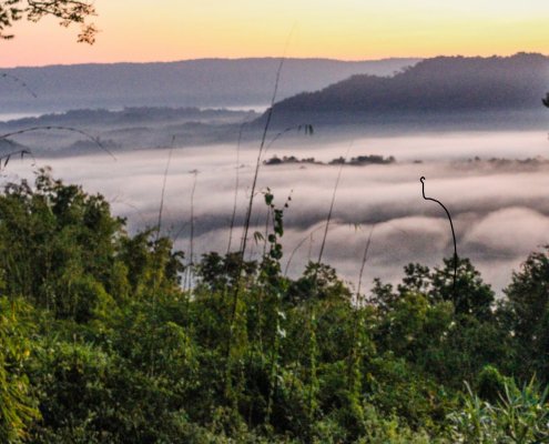 In Southeast Asian regions, agroforestry has led to a 1.08% average reduction in deforestation rate. Photo: pxhere Creative Commons CC0