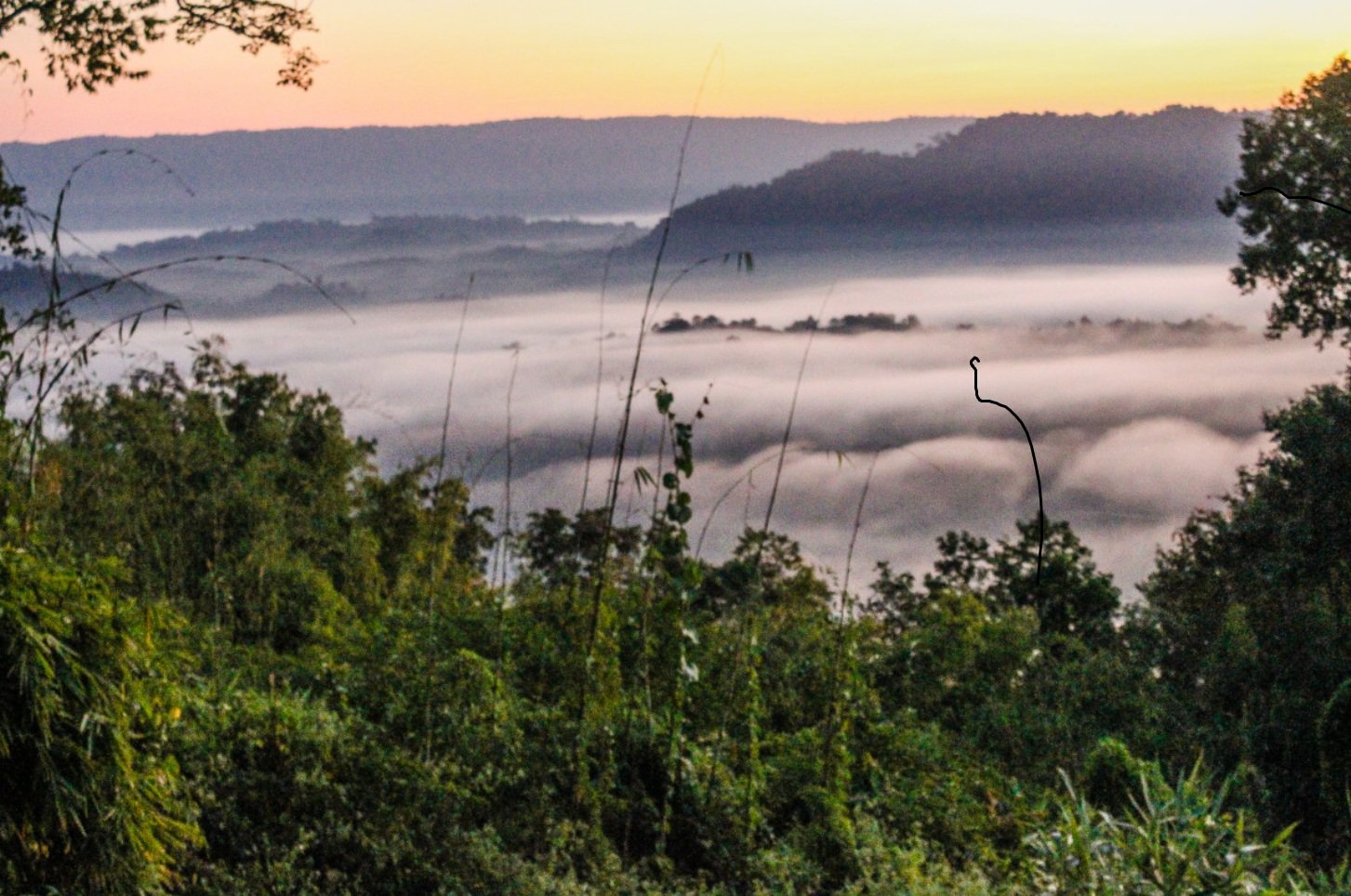 Nelle regioni dell’Asia sudorientale l'agroforestazione ha portato in media a una riduzione del disboscamento in una misura del 1,08%. Foto: pxhere Creative Commons CC0