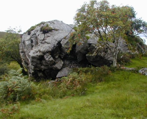 Rocky outcrops are common in mountain ecosystems and exert a significant impact on ecosystem functions. Photo: Copyright Chris Gunns and licensed for reuse under this Creative Commons Licence Attribution-ShareAlike 2.0 Generic CC BY-SA 2.0 Deed