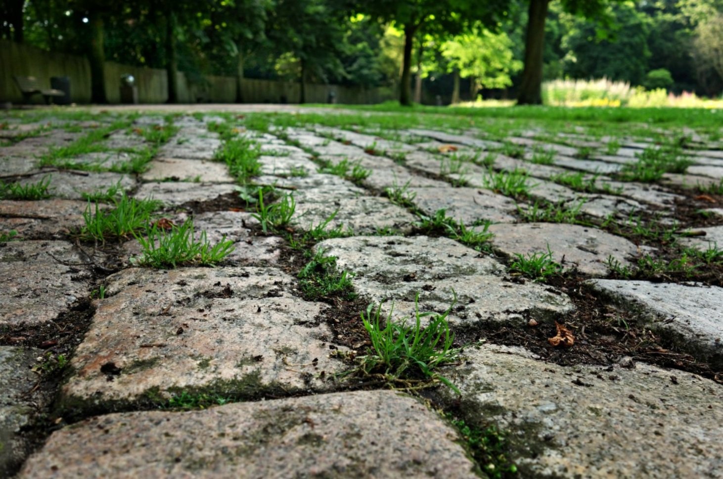 Tra i microbi degli spazi urbani si registra una crescente somiglianza tra i batteri, mentre i funghi resistono maggiormente all’omogeneizzazione. Foto: pxhere CC0 Dominio pubblico Gratuito per uso personale e commerciale Nessuna attribuzione richiesta