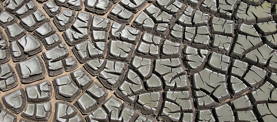 I fanghi di depurazione da trattamento delle acque reflue urbane possono essere una risorsa preziosa per riportare sostanza organica nei terreni agricoli. FOTO: Hannes Grobe, CC BY-SA 2.5, https://commons.wikimedia.org/w/index.php?curid=2979700