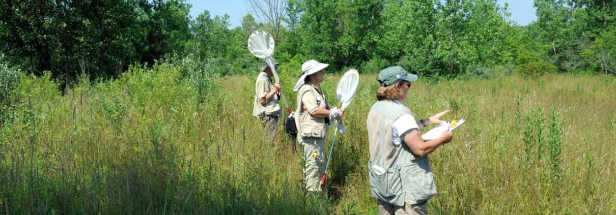Citizen science can play a strategic role in soil monitoring. Photo: National Park Service U.S. Department of the Interior Public Domain Dedication