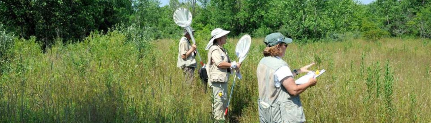 La citizen science può svolgere un ruolo strategico per il monitoraggio del suolo. Foto: National Park Service U.S. Department of the Interior Public Domain Dedication