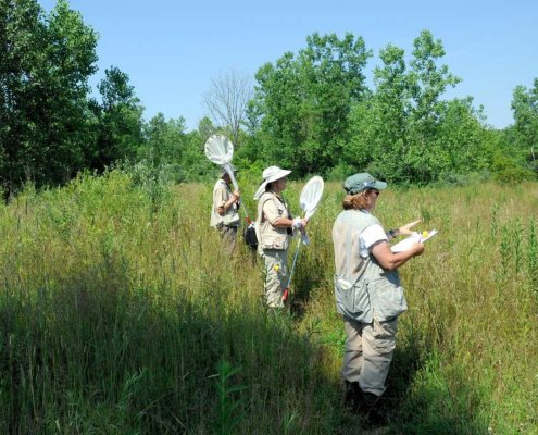 La citizen science può svolgere un ruolo strategico per il monitoraggio del suolo. Foto: National Park Service U.S. Department of the Interior Public Domain Dedication