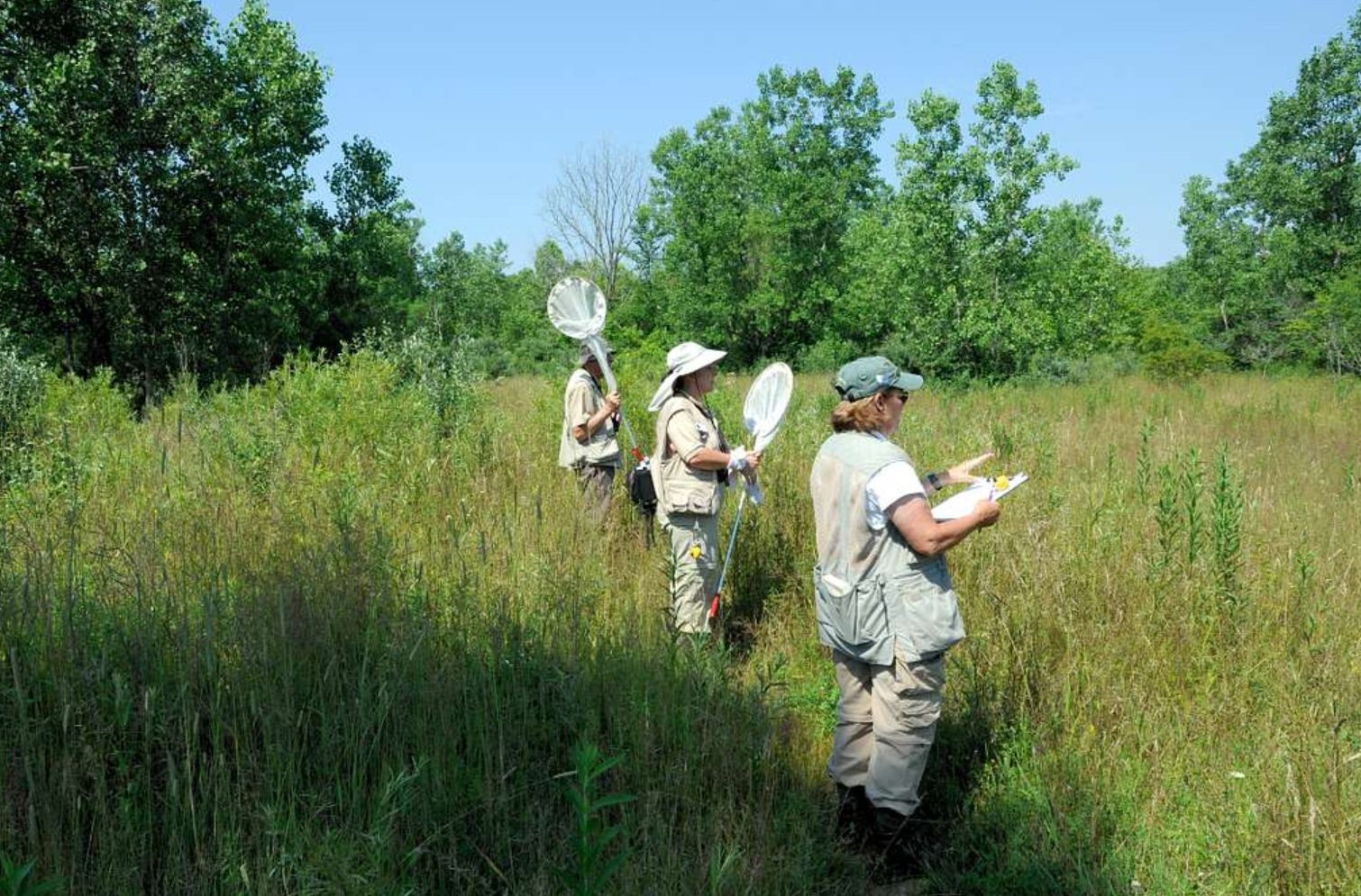 La citizen science può svolgere un ruolo strategico per il monitoraggio del suolo. Foto: National Park Service U.S. Department of the Interior Public Domain Dedication