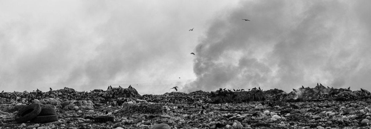 Con i ritmi attuali, per attuare le bonifiche dei terreni dei 41 siti nazionali servirebbero diverse centinaia di anni. Foto di Collab Media su Unsplash