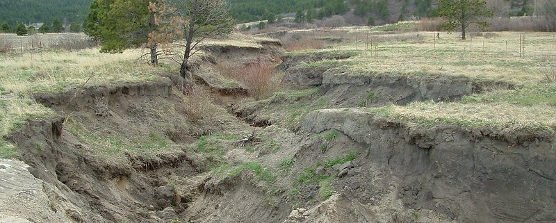 Quella a solchi profondi è considerata tipicamente come la forma di erosione del suolo più intensa. Foto: USFWS Mountain-Prairie Public Domain Mark 1.0 Universal PDM 1.0 Deed