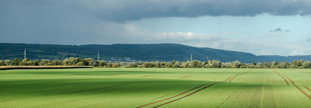 The Soil Data Cube integrates observations conducted on European soil in the 21st century Photo: Wolfgang Weiser Pexels free to use