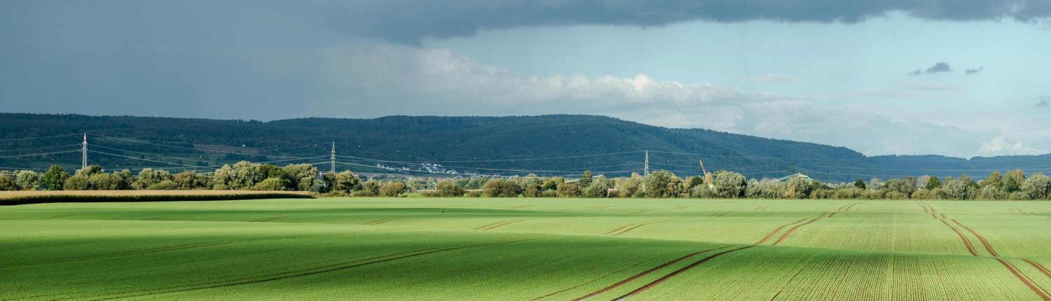 The Soil Data Cube integrates observations conducted on European soil in the 21st century Photo: Wolfgang Weiser Pexels free to use