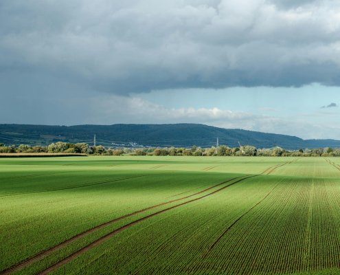 The Soil Data Cube integrates observations conducted on European soil in the 21st century Photo: Wolfgang Weiser Pexels free to use