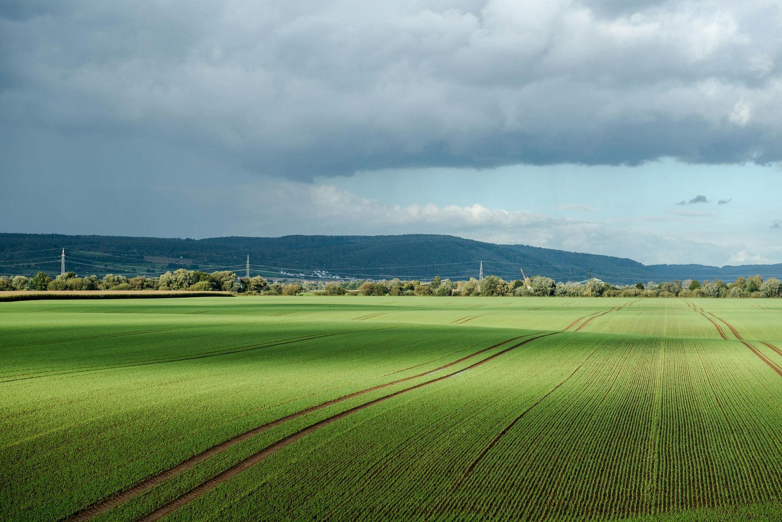 Soil Data Cube integra le osservazioni condotte sul suolo europeo nel XXI secolo Foto: Wolfgang Weiser Pexels free to use