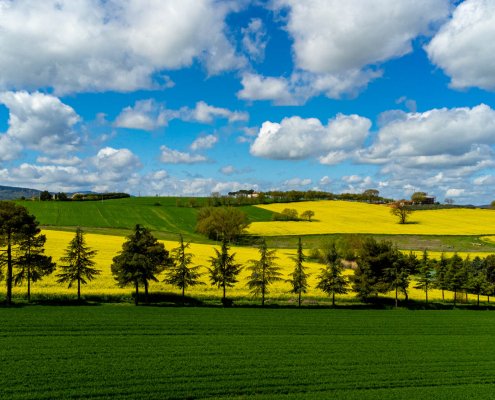 I settori AFOLU (Agricoltura, silvicoltura e altri usi del suolo) possono dare un contributo significativo agli obiettivi di neutralità climatica per il 2050 stabiliti dalla legge UE sul clima. FOTO: Matteo Berlenga.