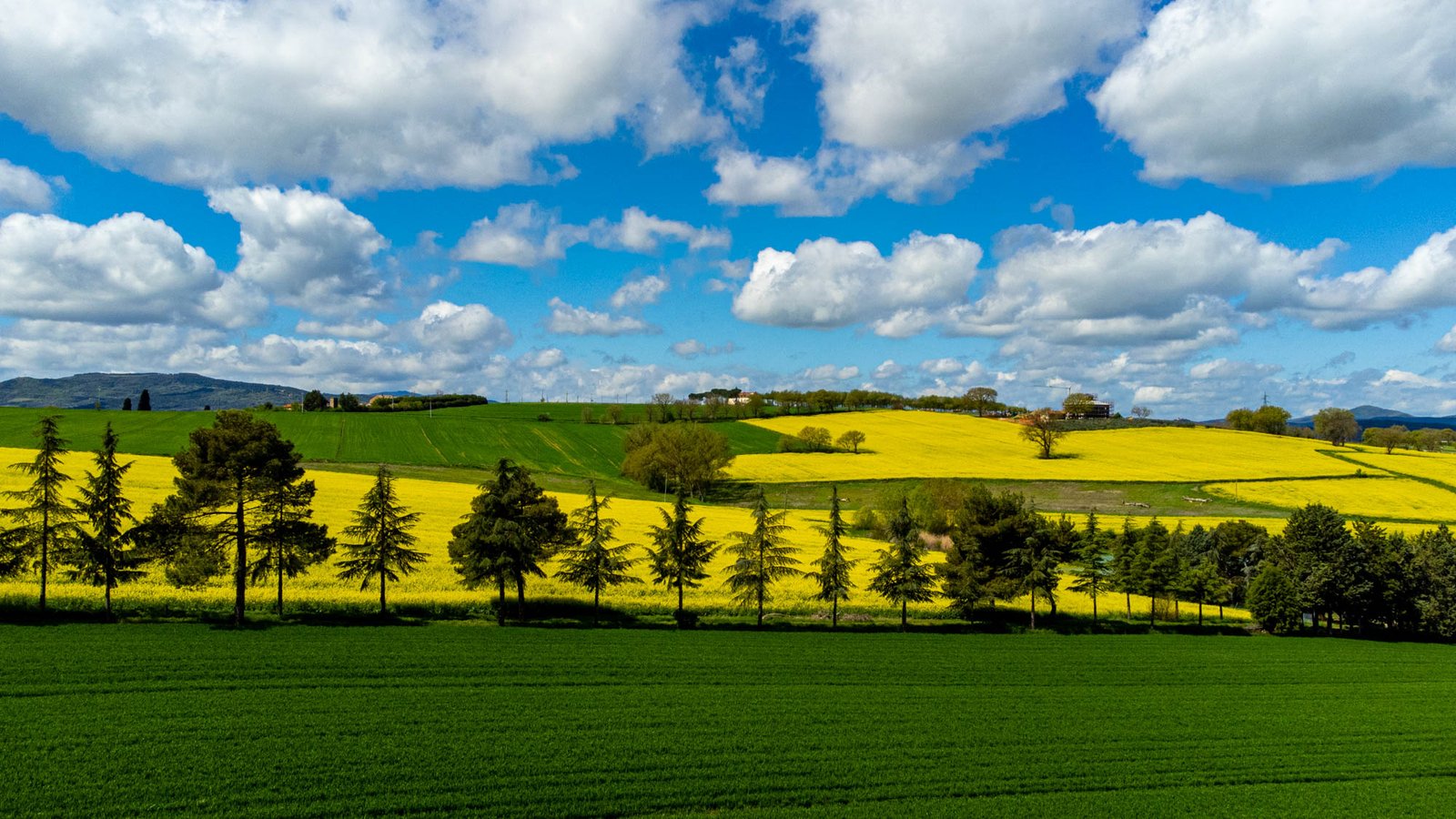 I settori AFOLU (Agricoltura, silvicoltura e altri usi del suolo) possono dare un contributo significativo agli obiettivi di neutralità climatica per il 2050 stabiliti dalla legge UE sul clima. FOTO: Matteo Berlenga.