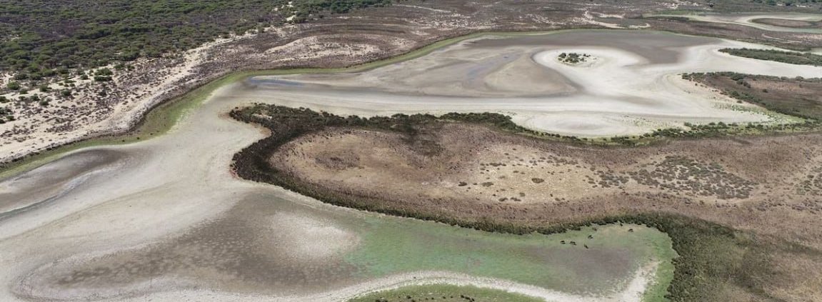 il Parco Nazionale di Doñana National Park in Spagna è una delle aree più colpite dagli effetti della siccità. FOTO: Ministero spagnolo per la Transizione ecologica e la Demografia (MITECO), 2022.