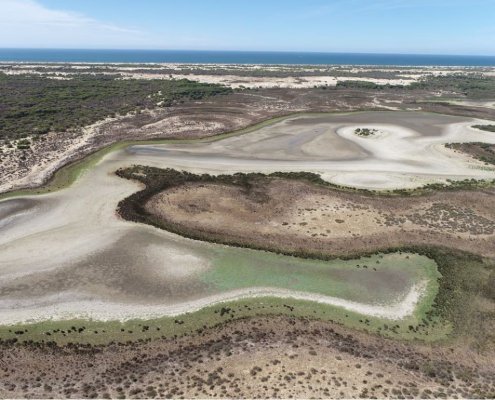 il Parco Nazionale di Doñana National Park in Spagna è una delle aree più colpite dagli effetti della siccità. FOTO: Ministero spagnolo per la Transizione ecologica e la Demografia (MITECO), 2022.