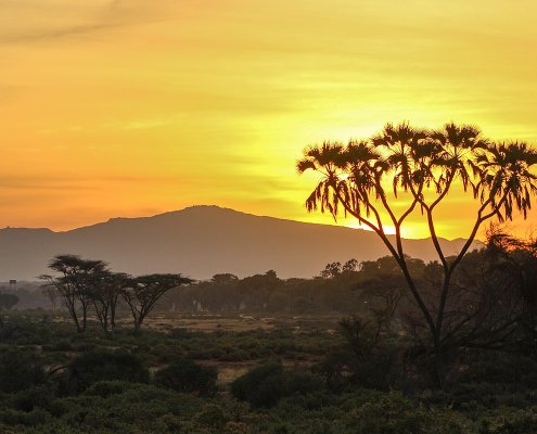 L’impatto e la frequenza del caldo estremo aumenteranno nel Sud est asiatico, in Sudamerica e in Africa equatoriale. Foto: Nina R Attribution 2.0 Generic CC BY 2.0 Deed