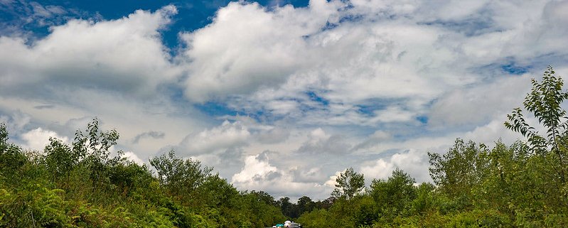 Nelle torbiere del Congo sono conservate da millenni quasi 30 miliardi di tonnellate di carbonio. Foto: Ricky Martin/CIFOR Attribution-NonCommercial-NoDerivs 2.0 Generic CC BY-NC-ND 2.0 Deed