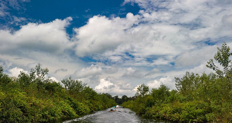 Nelle torbiere del Congo sono conservate da millenni quasi 30 miliardi di tonnellate di carbonio. Foto: Ricky Martin/CIFOR Attribution-NonCommercial-NoDerivs 2.0 Generic CC BY-NC-ND 2.0 Deed