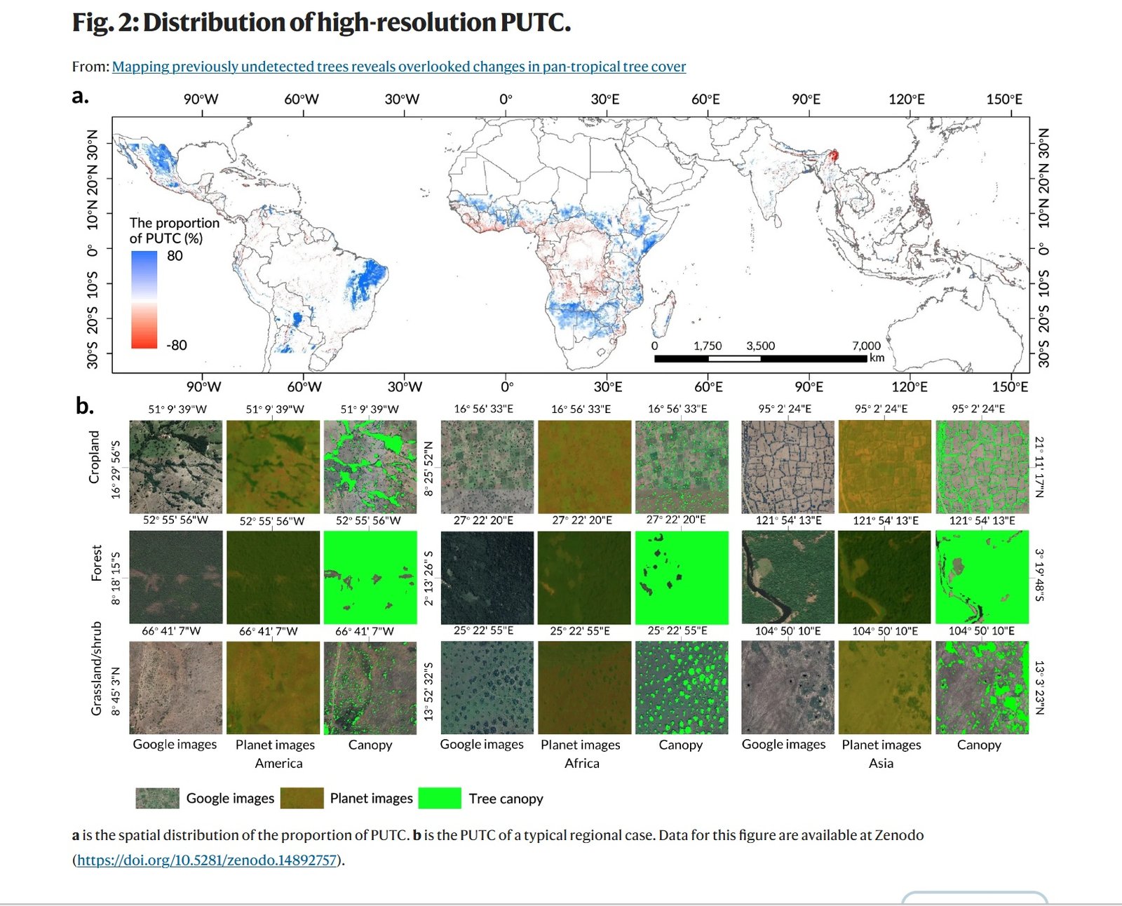 The grid type with the highest proportion of PUTC is shrub/grassland grid (15.11%), followed by cropland (2.15%), bare land/desert (0.40%), and built-up area grid (0.08%). Source: Liu, S., Zhang, J., Wang, L. et al. Mapping previously undetected trees reveals overlooked changes in pan-tropical tree cover. Nat Commun 16, 5561 (2025). https://doi.org/10.1038/s41467-025-60662-z Attribution-NonCommercial-NoDerivatives 4.0 International CC BY-NC-ND 4.0 Deed