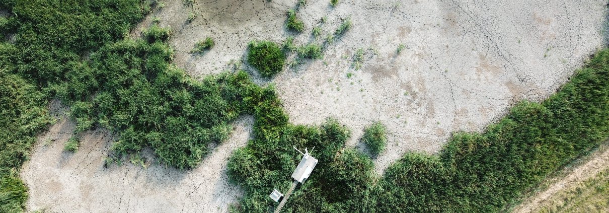 La siccità impatta in Europa sulla crescita della vegetazione e sui fiumi. Foto: Torsten Sachs (distributed via imaggeo.egu.eu) Attribution-NoDerivs 3.0 Unported CC BY-ND 3.0 Deed