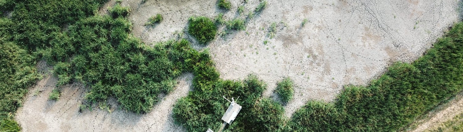 La siccità impatta in Europa sulla crescita della vegetazione e sui fiumi. Foto: Torsten Sachs (distributed via imaggeo.egu.eu) Attribution-NoDerivs 3.0 Unported CC BY-ND 3.0 Deed