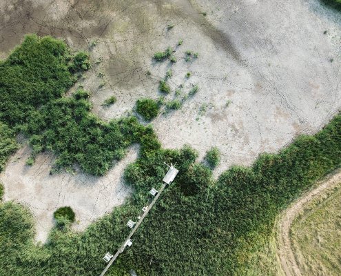 La siccità impatta in Europa sulla crescita della vegetazione e sui fiumi. Foto: Torsten Sachs (distributed via imaggeo.egu.eu) Attribution-NoDerivs 3.0 Unported CC BY-ND 3.0 Deed
