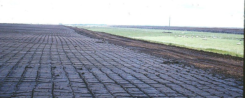 Peat soils in Ireland are more widespread than previously thought as they cover 30% of the land area compared with previously estimated 24%. Photo: SoilScience.info Attribution 2.0 Generic CC BY 2.0 Deed