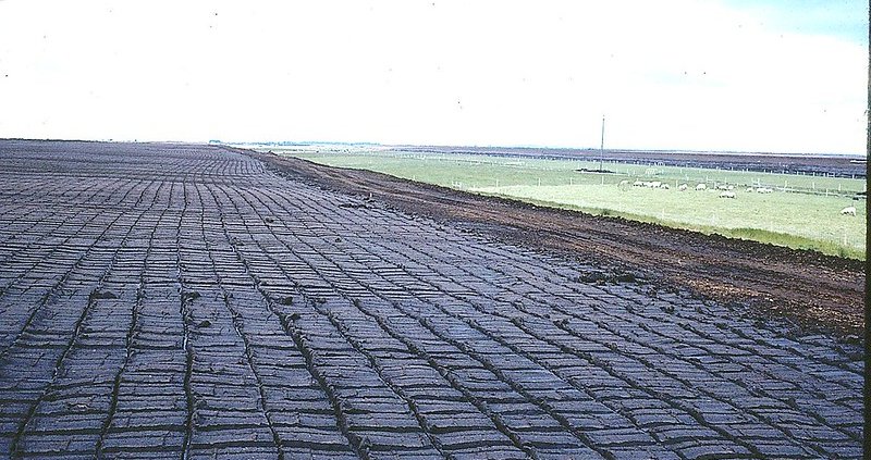 Peat soils in Ireland are more widespread than previously thought as they cover 30% of the land area compared with previously estimated 24%. Photo: SoilScience.info Attribution 2.0 Generic CC BY 2.0 Deed