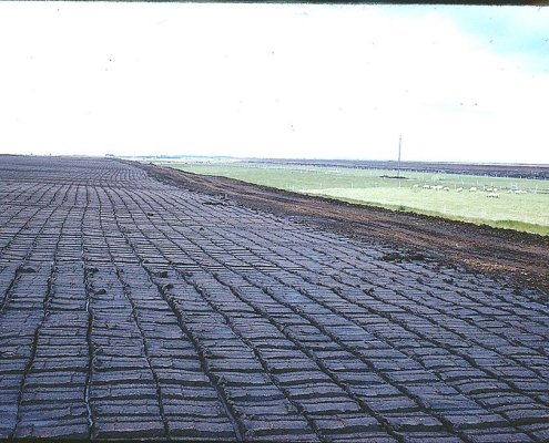 In Irlanda i terreni di torba sono più diffusi di quanto si pensasse. Coprendo il 30% della superficie contro il 24% inizialmente stimato. Foto: SoilScience.info Attribuzione 2.0 Generico CC BY 2.0 Deed