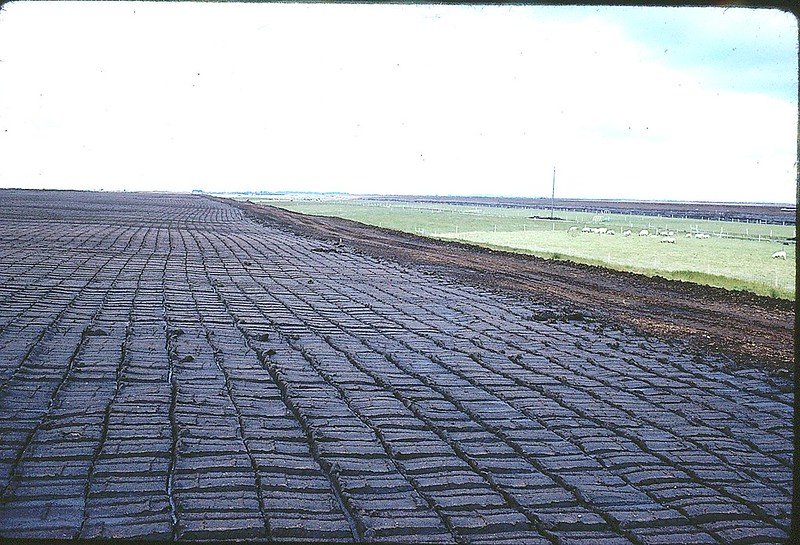 In Irlanda i terreni di torba sono più diffusi di quanto si pensasse. Coprendo il 30% della superficie contro il 24% inizialmente stimato. Foto: SoilScience.info Attribuzione 2.0 Generico CC BY 2.0 Deed