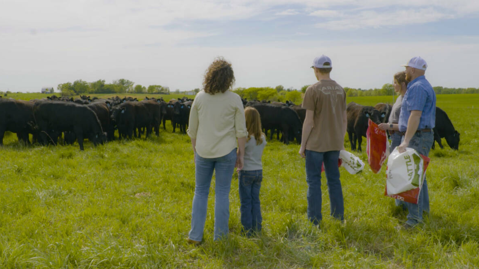 Integrare il pascolo a rotazione nei terreni aiuta a consolidare l'effetto delle altre pratiche di agricoltura rigenerativa. FOTO: Britt Farms.